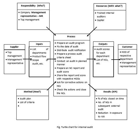 Turtle Diagram | Downloadable excel template | Case Study