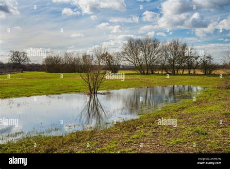 A Waterlogged Field After Heavy Rains With Trees Reflected In The Water