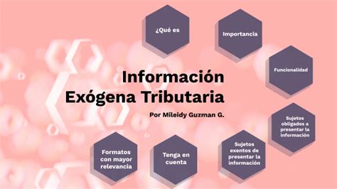 Información Exógena Tributaria by Mileidy Guzman on Prezi