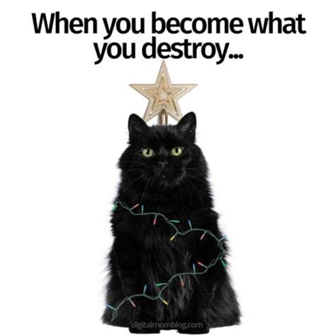 25 Purrfect Christmas Cat Memes: Feline Festive Fun