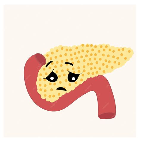 Premium Vector Pancreas Cartoon Vector Illustration