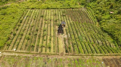 Tingkatkan Pengelolaan Lahan Pertanian Berkelanjutan Begini Caranya