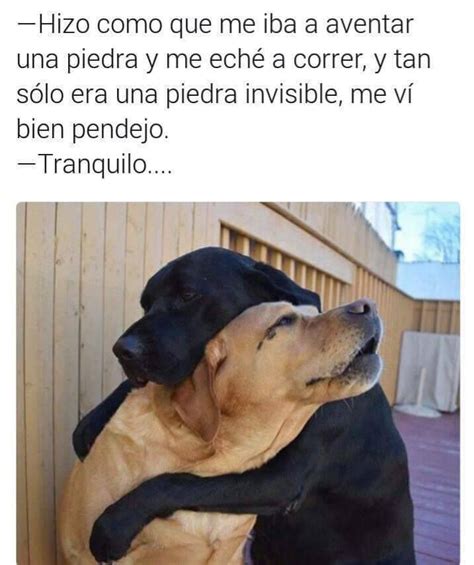 20 Memes Que Te Matarán De Risa Si Estás De Simple Humor Divertido