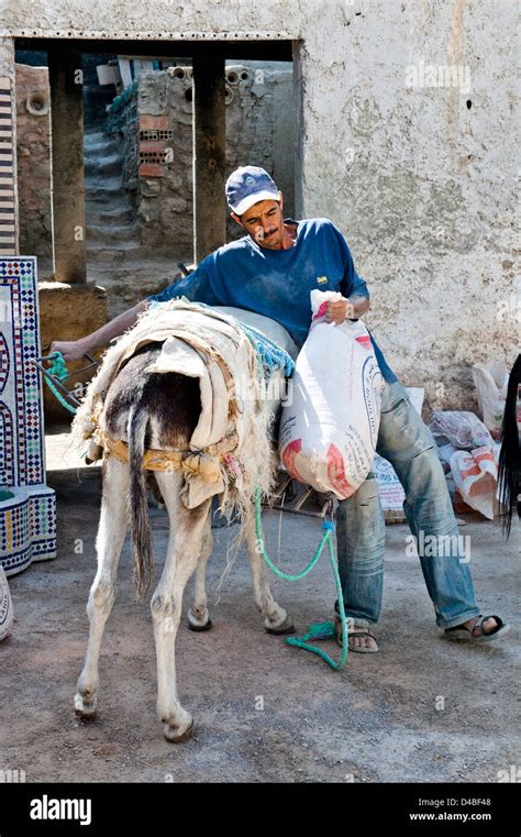 Transporte De Mulas Fotograf As E Im Genes De Alta Resoluci N Alamy