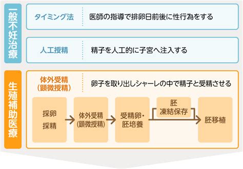 主な不妊治療｜不妊のこと｜妊娠・出産の正しい知識｜丘の上のお医者さん 女性と男性のクリニック