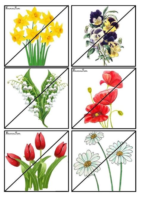 Four Different Types Of Flowers Are Shown In The Same Square Shape