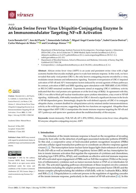 Pdf African Swine Fever Virus Ubiquitin Conjugating Enzyme Is An Immunomodulator Targeting Nf