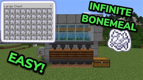 SIMPLE 1 21 BONEMEAL FARM TUTORIAL In Minecraft Bedrock MCPE Xbox PS4