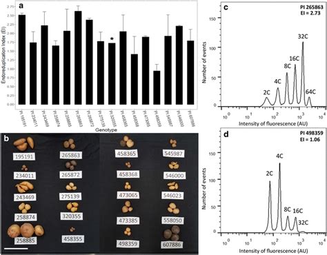 The Results Of The Tuber Endoreduplication Protocol Applied To The