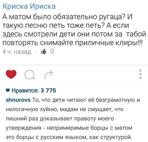 Шнуров пояснил | Пикабу