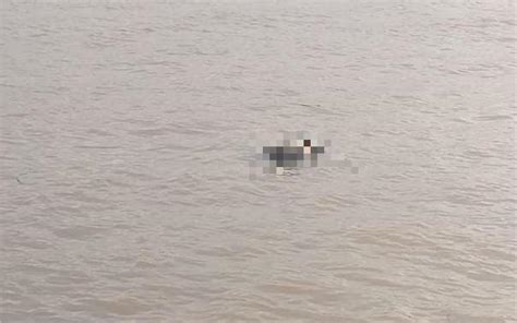 Sopir Speedboat Temukan Mayat Mengambang Di Sungai Mahakam