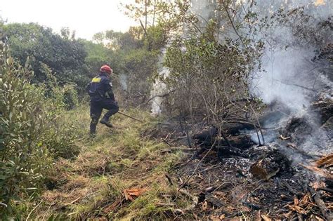 Incendios forestales en Cundinamarca lo que deja el fenómeno de El