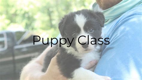 Classes - COMPANION DOG TRAINING SCHOOL