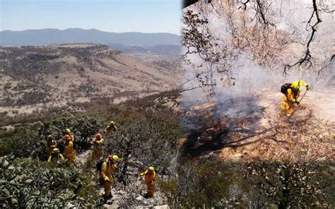 Consumen Incendios Forestales Casi Mil Hect Reas En Guanajuato El