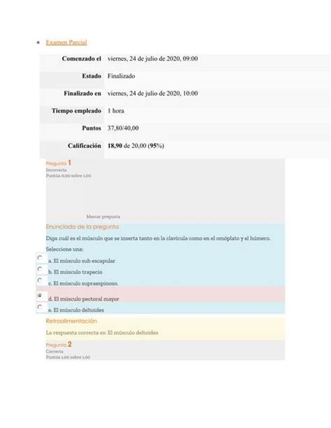 Examen Parcial Anatom A Heidi Solano Udocz
