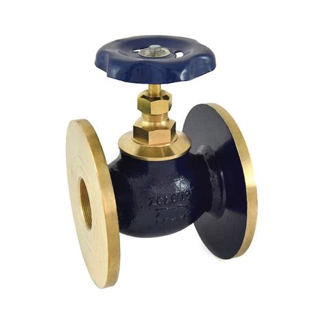 Zoloto 1034 Flanged Bronze Globe Valve At Rs 4500 In Noida ID