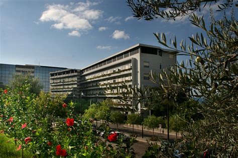 Visite gratuite all ospedale Giglio di Cefalù per lopen week di onda