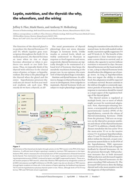 Leptin, Nutrition, and The Thyroid, The Why, The Wherefore, and The wiring-COMMENT | PDF ...