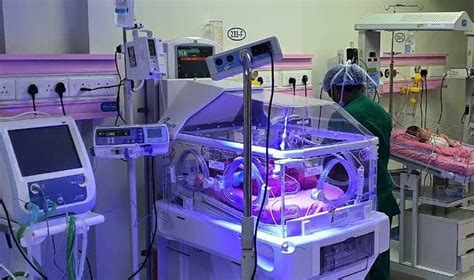 Preterm Babies Care Ominibed Vps Lakeshore