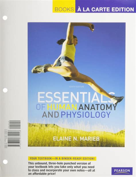 Amazon Essentials Of Human Anatomy Physiology Laboratory Manual