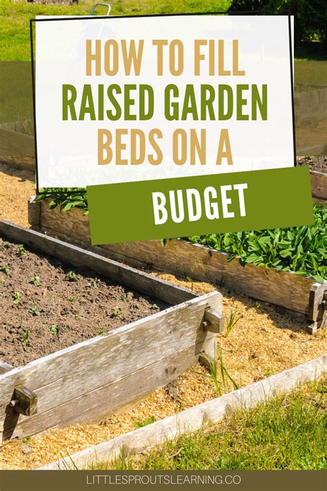 How To Fill Raised Garden Beds On A Budget Little Sprouts