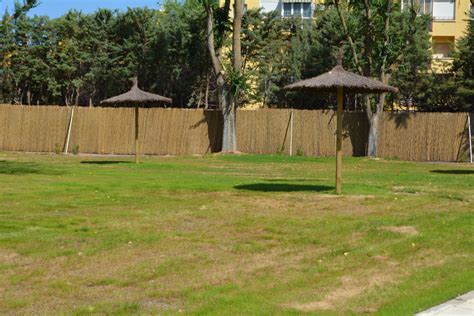 La Piscina De Verano De Tomelloso Retrasa Su Apertura Debido Al