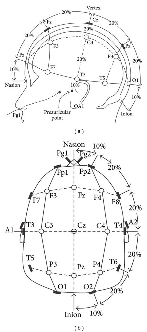 The 10 20 Eeg Electrodes Placement System A And B Download