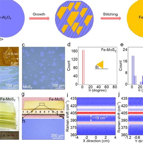 The Epitaxial Growth Mechanism Of Unidirectionally Aligned Fe Mos On