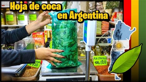 HOJA DE COCA EN ARGENTINA Como Llega Desde Bolivia YouTube