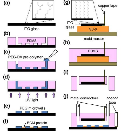 Fabrication Of A Microfluidic Channel With An Embedded Peg Microwell