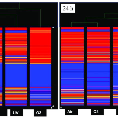 Hierarchical Cluster Analysis HCA Reporting The Expression Of The