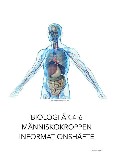 Biologi K M Nniskokroppen Informationsh Fte