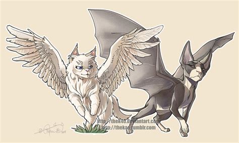 Cats With Wings By Thek40 On Deviantart