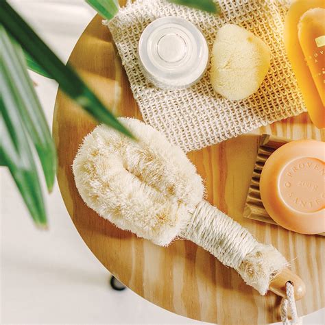 Unlocking The Secrets Of Full Body Dry Brushing Baudelaire