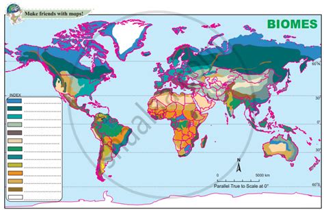 Distinguish Between Tropical And Temperate Grassland Biomes