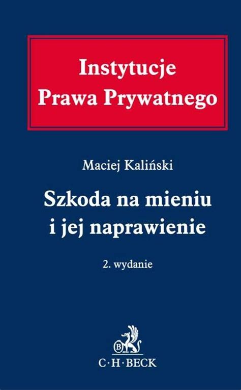 Szkoda na mieniu i jej naprawienie Kaliński Maciej 7188962533