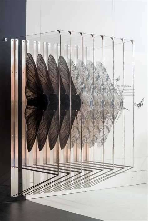 Museum Studio Projects | Climate Control, Manchester Museum