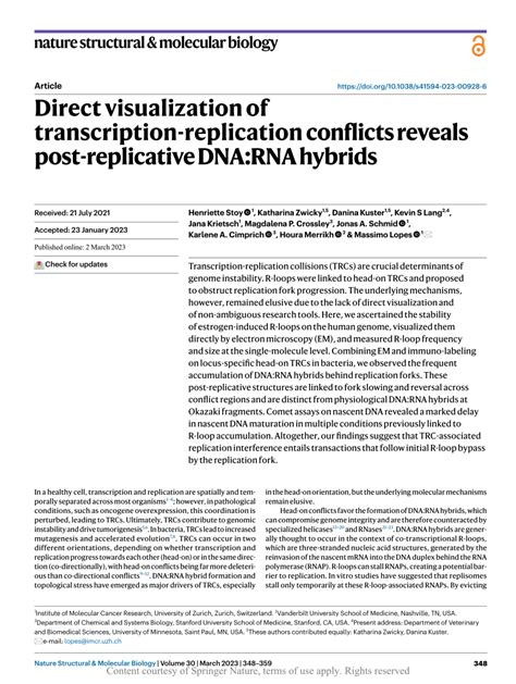 Pdf Direct Visualization Of Transcription Replication Conflicts