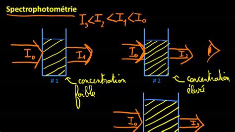 Introduction à la spectrophotométrie YouTube