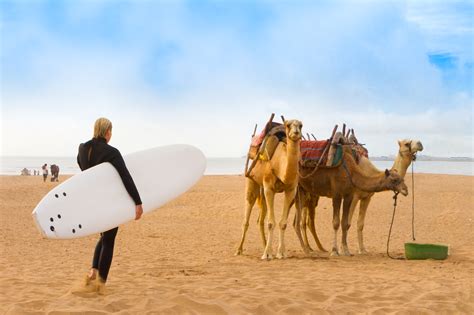 Surfing In Morocco - Top 5 Beginner Surf Beaches In Morocco