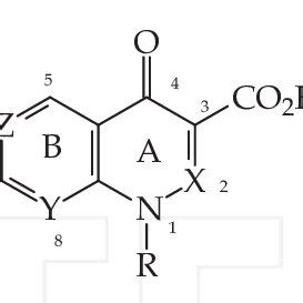 Basic structure of quinolones. | Download Scientific Diagram