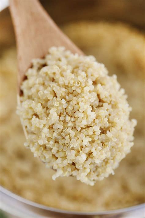 Cooked Quinoa