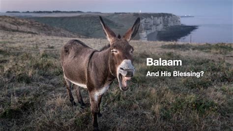 Balaam and his blessing? | Space Coast Church of Christ