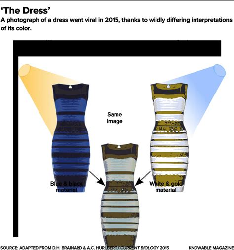 The Science Of Color Perception