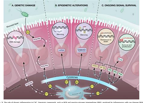 Figure 1 From Microbiome And Colorectal Cancer Unraveling Host