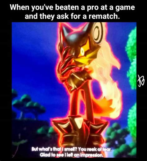 Sonic Meme 8 By Joeyb1001 On Deviantart