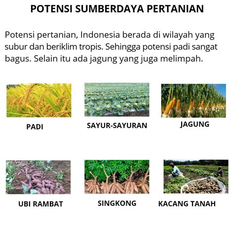 Potensi Dan Persebaran Sumberdaya Pertanian Geohepi