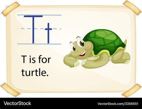 A Letter T For Turtle Royalty Free Vector Image