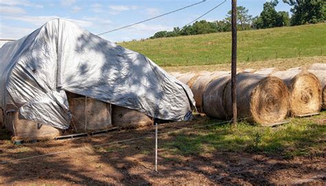 minimize hay storage losses small farm sustainability