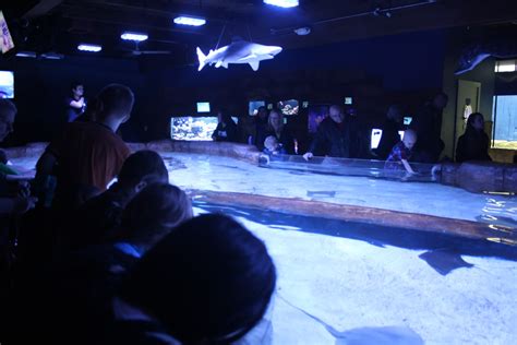 Buddy and Cutie Pie: Visting the Portland Aquarium